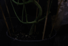 anigifh.gif.fc73855380431fbe1836c64b96efbfd1.gif
