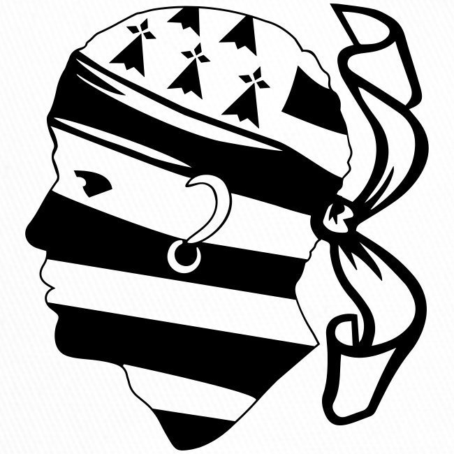 drapeau-breton-et-tete-de-maure-corse.jpg.d6eb485060fb8b7ab5698c57d908442e.jpg