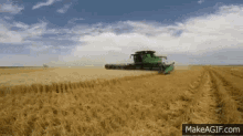 harvest-corn.gif.65966e9c4f37dd51feccf352f6ccbcb5.gif