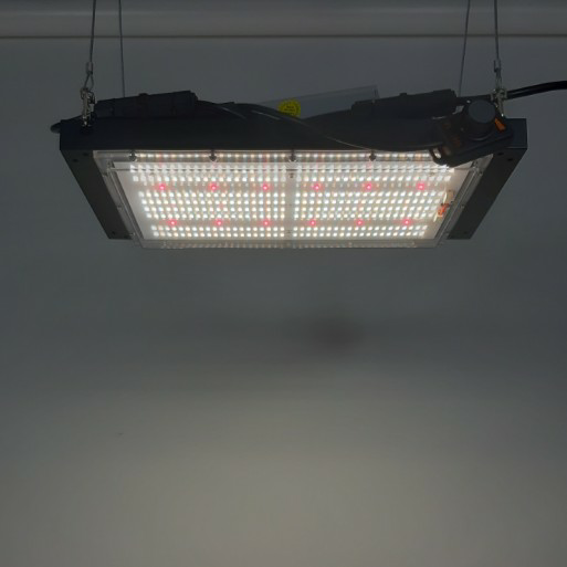 image.png.2a01f5cbaa1de93d18ddea0e2aa1ade8.png