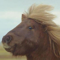 Double_Poney