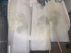 Pollinisation (2) (Copier).JPG