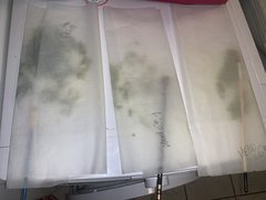 Pollinisation (Copier).JPG