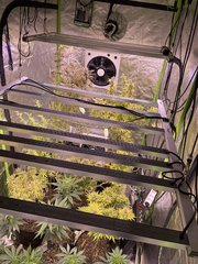 D7F77B42-441B-4048-BAEA-718082CD5C5C.jpeg