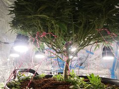 IMG_20210103_202237.jpg