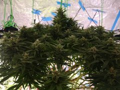 IMG_20210103_202241.jpg