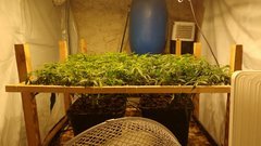 IMG_20210116_182644654.jpg