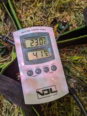 PXL_20210103_203031622.jpg