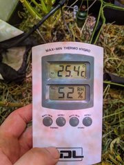 PXL_20210103_203040155.jpg