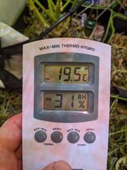 PXL_20210103_203044680.jpg