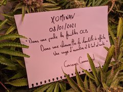 PXL_20210108_194409100.jpg