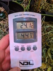 PXL_20210108_194751938.jpg