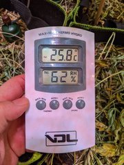 PXL_20210108_194758688.jpg