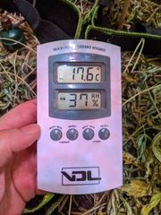 PXL_20210108_194805055.jpg