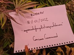 PXL_20210116_141735247.jpg