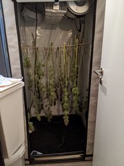 PXL_20210116_223404301.jpg