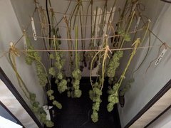 PXL_20210116_223419687.jpg