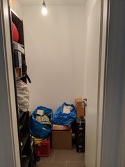 PXL_20210124_111237860.jpg