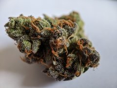 Rosso Corsa #3