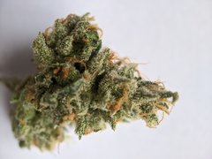 Kerosene Krash #2