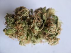 Pineapple Critical #1