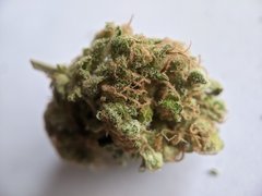 Pineapple Critical #1