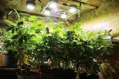 batch_IMG_0811.JPG