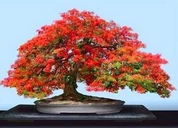 0349a77a8b8c15a94de744dd1a487bd5.jpg.78b54e1a56b1c82969746507d84c6297.jpg