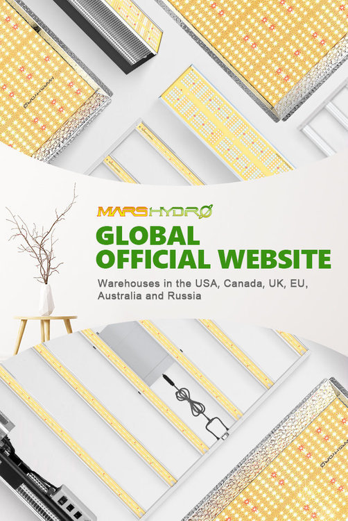 Subscribe - Mars Hydro website.jpg