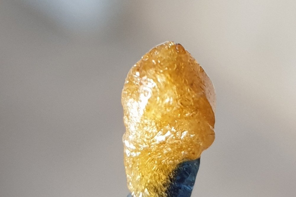 20210204_113249_crop_3.thumb.jpg.877a622ed6ae15b4abcffcfad8cb2d00.jpg