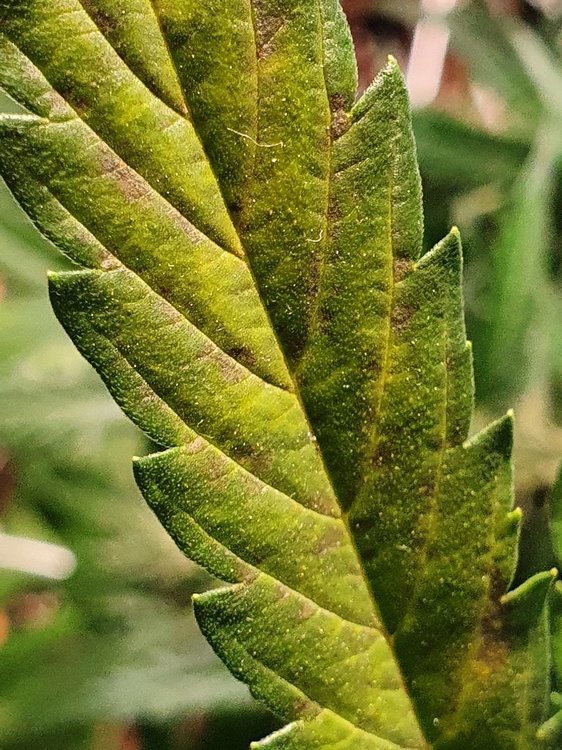 20210208_112204.jpg