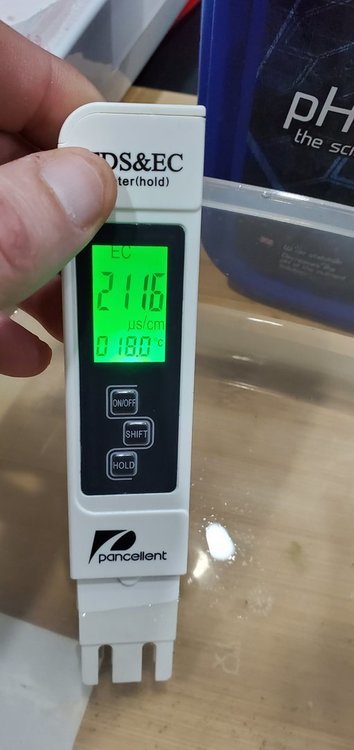 20210226_015942.thumb.jpg.74fd31c8b31aa55236ee8223baf72fdb.jpg