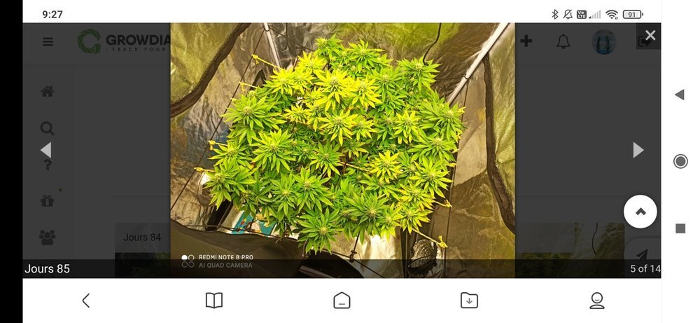 Screenshot_2021-02-18-09-27-23-688_com.mi.globalbrowser.jpg