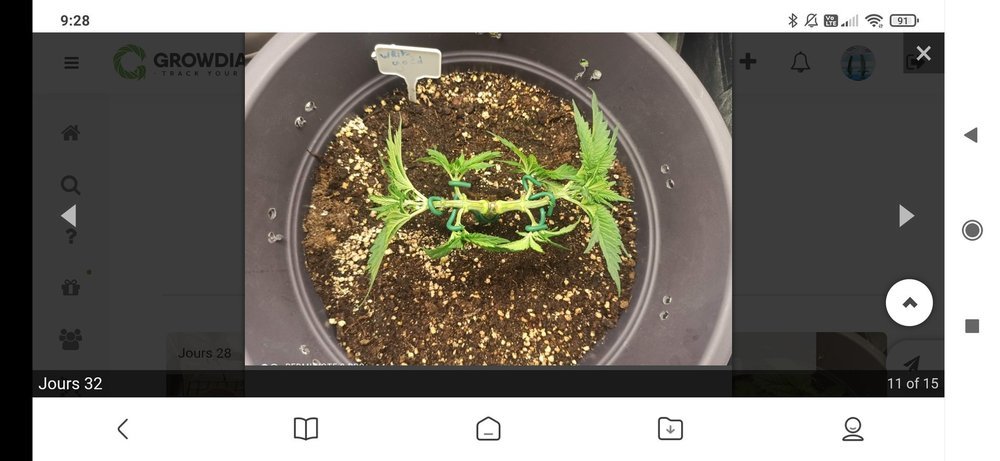 Screenshot_2021-02-18-09-28-55-472_com.mi.globalbrowser.jpg