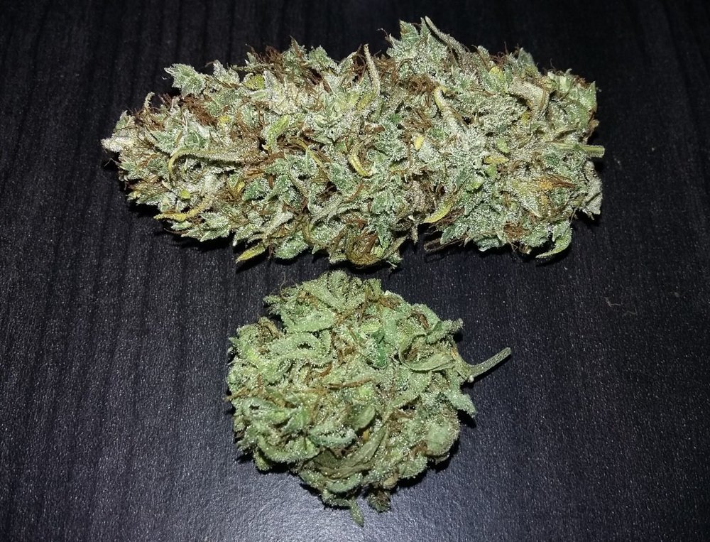 Thaipanbud2.jpg