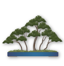 image.png.c5eec089b3a16742e11e022f0e06cec1.png