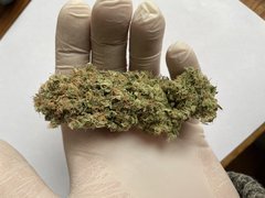 Pineapple Critical #1