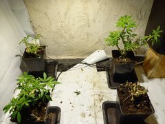 20210202_182139.jpg