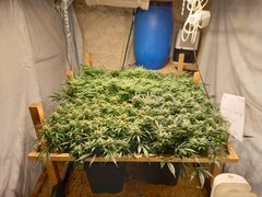 20210223_190037.jpg