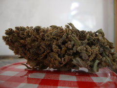 TC#2
