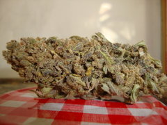 TC#2
