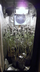 DSCN1688.JPG