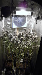 DSCN1690.JPG