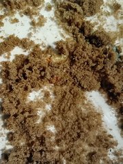 IMG_20210215_215641.jpg
