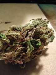 IMG_20210217_224509.jpg