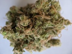 Pineapple Critical #3