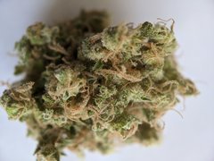 Pineapple Critical #3