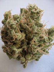 Pineapple Critical #3