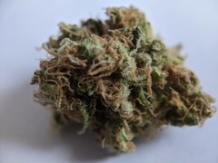 Pineapple Critical #1