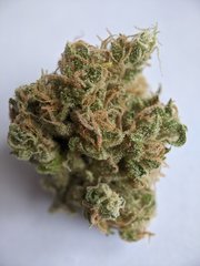 Pineapple Critical #1